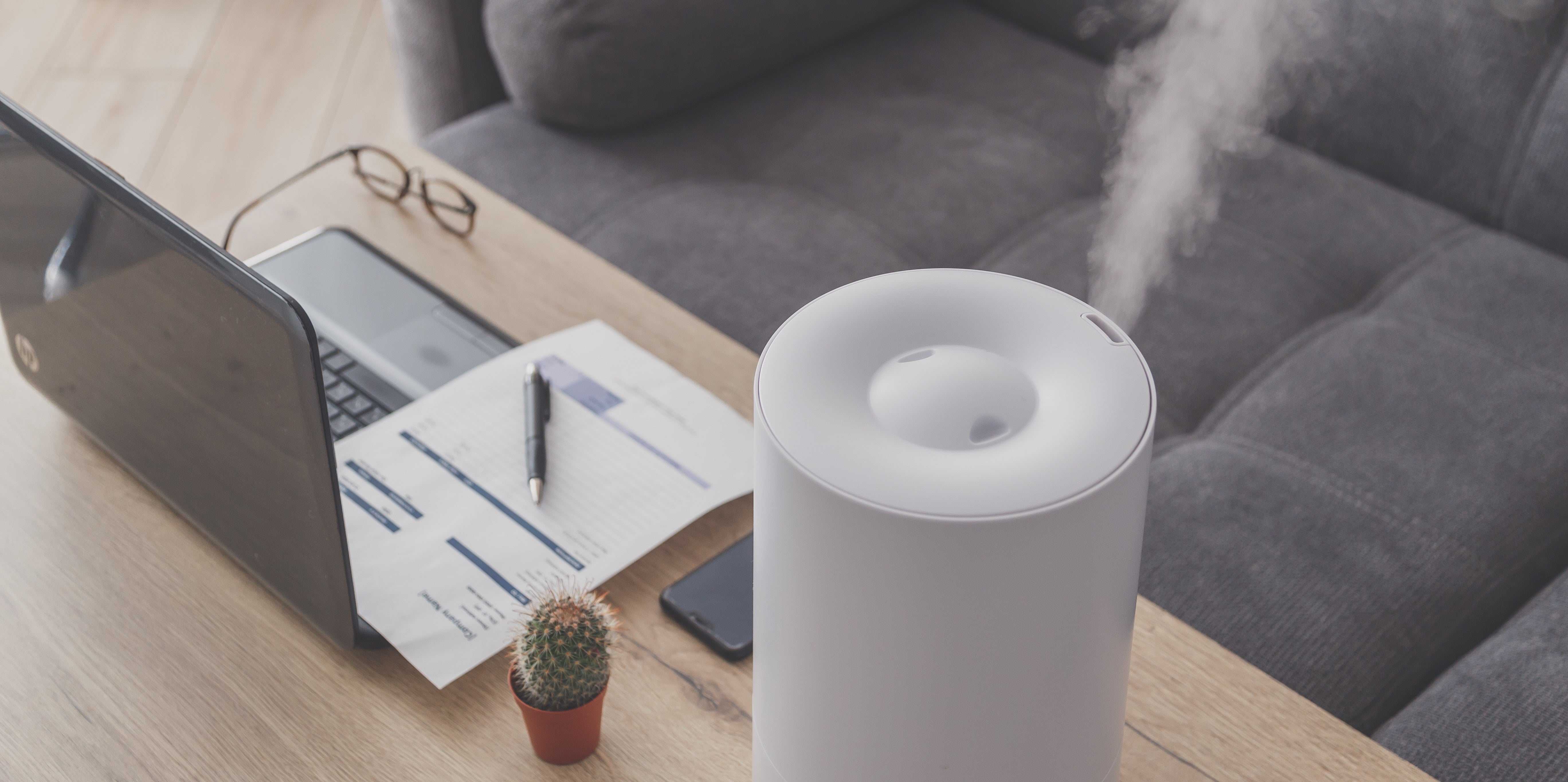 What is a humidifier used for? Mobiclinic