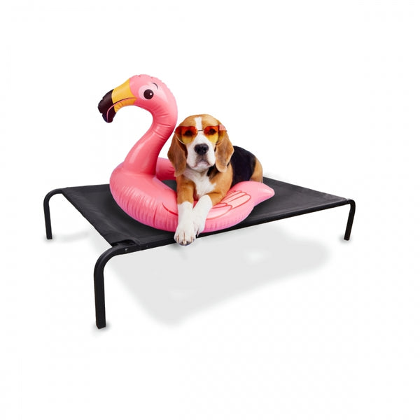 Raised Pet Bed | Insulated | 122 x 71 x 21 cm | Max. 60 kg | Light | Resistant | Black | Cleo | Mobiclinic