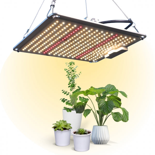 Grow lamp | LED | 700W | White |Dimming function | 10 brightness levels | Efficiency | Growlight | Mobiclinic