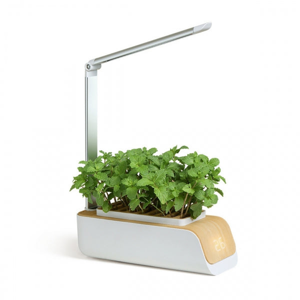 Indoor urban garden | Automatic LED | Growing without natural light | Adjustable height and angle | 4.5 W | Touch control | Water reminder | Ideal for small spaces | Sustainable | Mini-grow | Mobiclinic